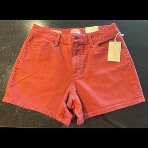 Vintage Stretch Denim Shorts